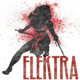 Marvel Elektra Clothing