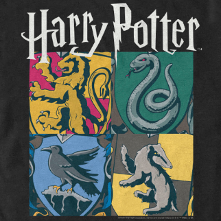 Girl's Harry Potter Slytherin House Crest T-Shirt – Fifth Sun