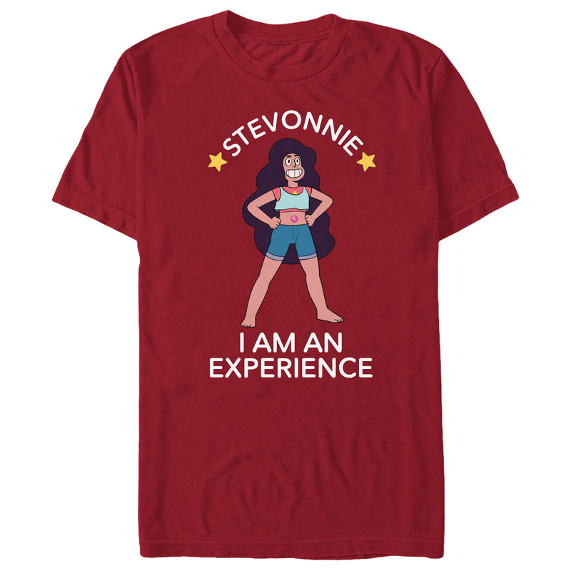Men's Steven Universe Stevonnie An Experience T-Shirt