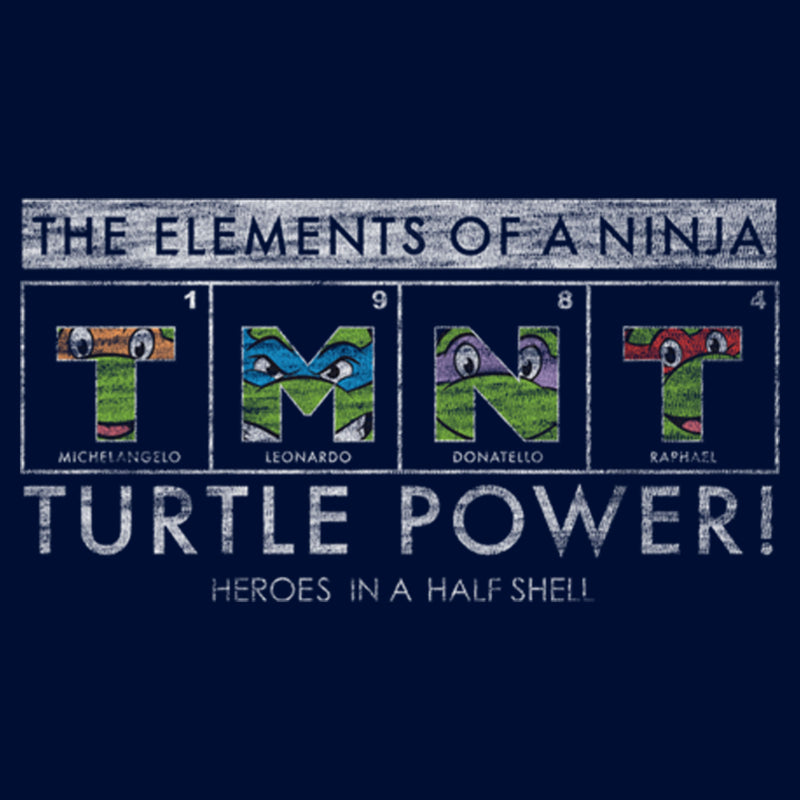 Boy's Teenage Mutant Ninja Turtles Distressed The Elements of a Ninja T-Shirt