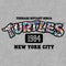 Boy's Teenage Mutant Ninja Turtles 1984 New York City Floral Logo T-Shirt