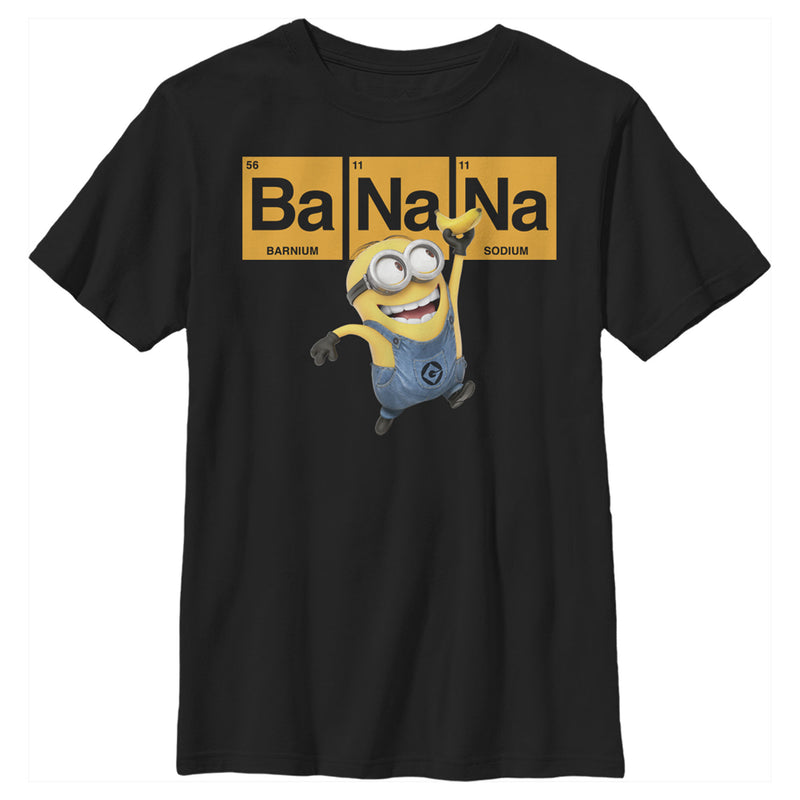 Boy's Despicable Me Minions Elements T-Shirt