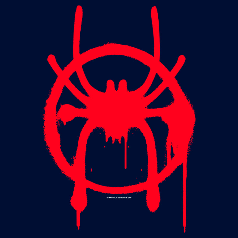 Boy's Marvel Spider-Man: Into the Spider-Verse Symbol T-Shirt