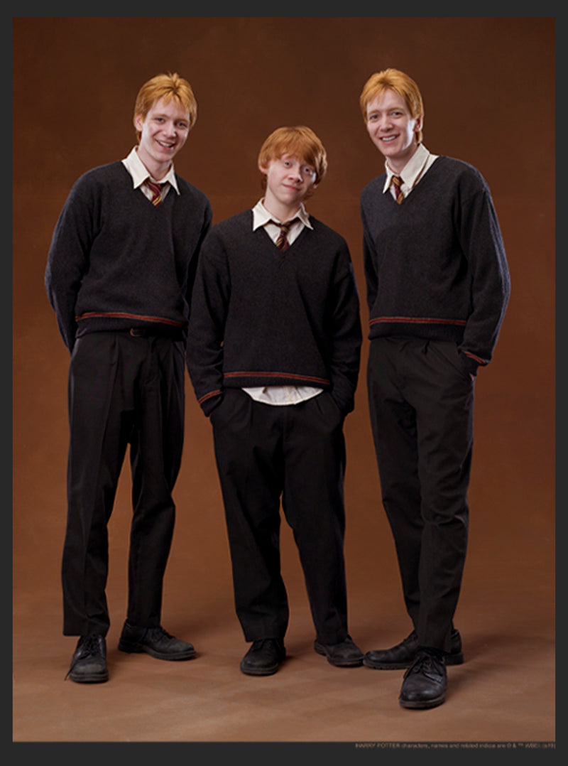 Women's Harry Potter Weasley Brothers Portrait T-Shirt