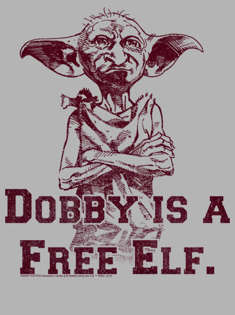 Men's Harry Potter Dobby is a Free Elf Pull Over Hoodie