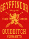Girl's Harry Potter Gryffindor Quidditch Gold Team Seeker T-Shirt