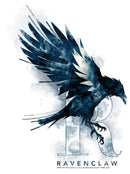 Men's Harry Potter Ravenclaw Bird Watercolor T-Shirt