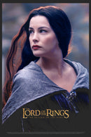 Women's The Lord of the Rings Fellowship of the Ring Arwen Movie Poster T-Shirt