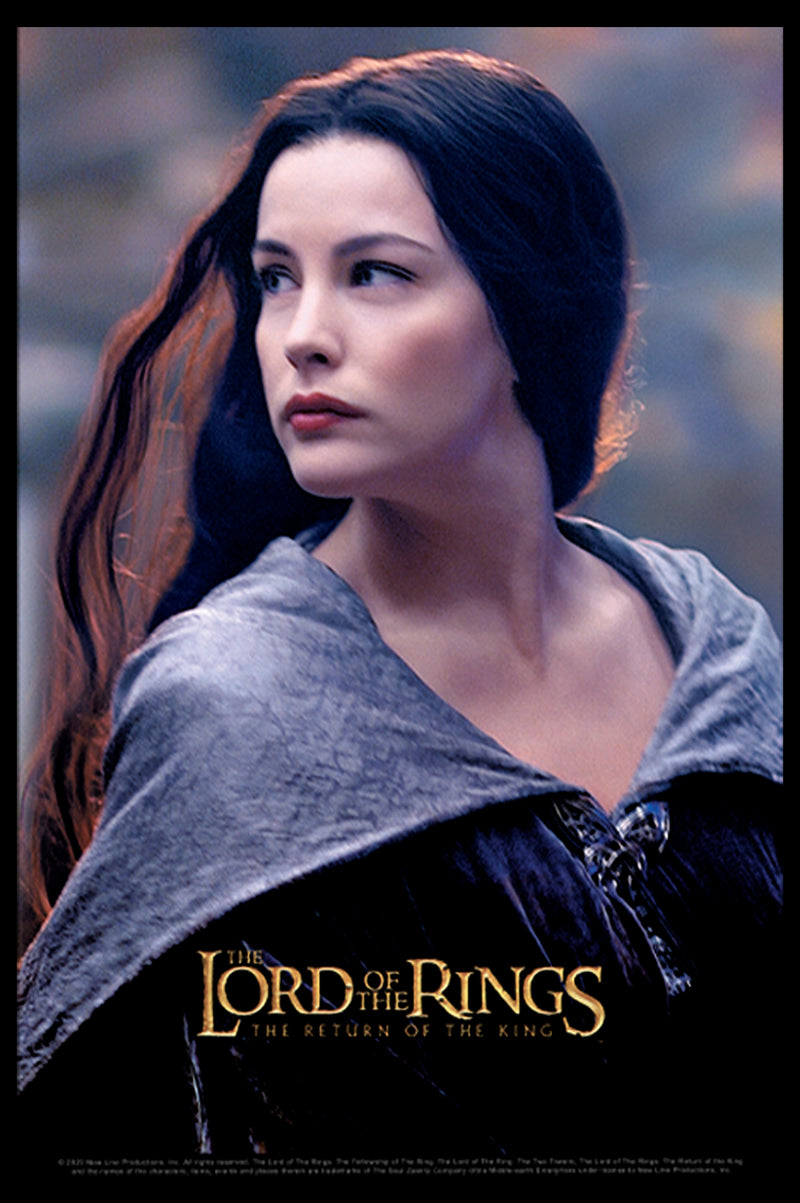 Men's The Lord of the Rings Fellowship of the Ring Arwen Movie Poster T-Shirt