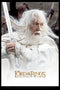 Men's The Lord of the Rings Return of the King Gandalf Movie Poster T-Shirt