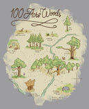 Boy's Winnie the Pooh 100 Acre Woods Map Pull Over Hoodie