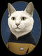 Boy's Star Trek: The Next Generation Commander Data Cat T-Shirt