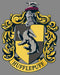 Boy's Harry Potter Hufflepuff Gold Crest Performance Tee