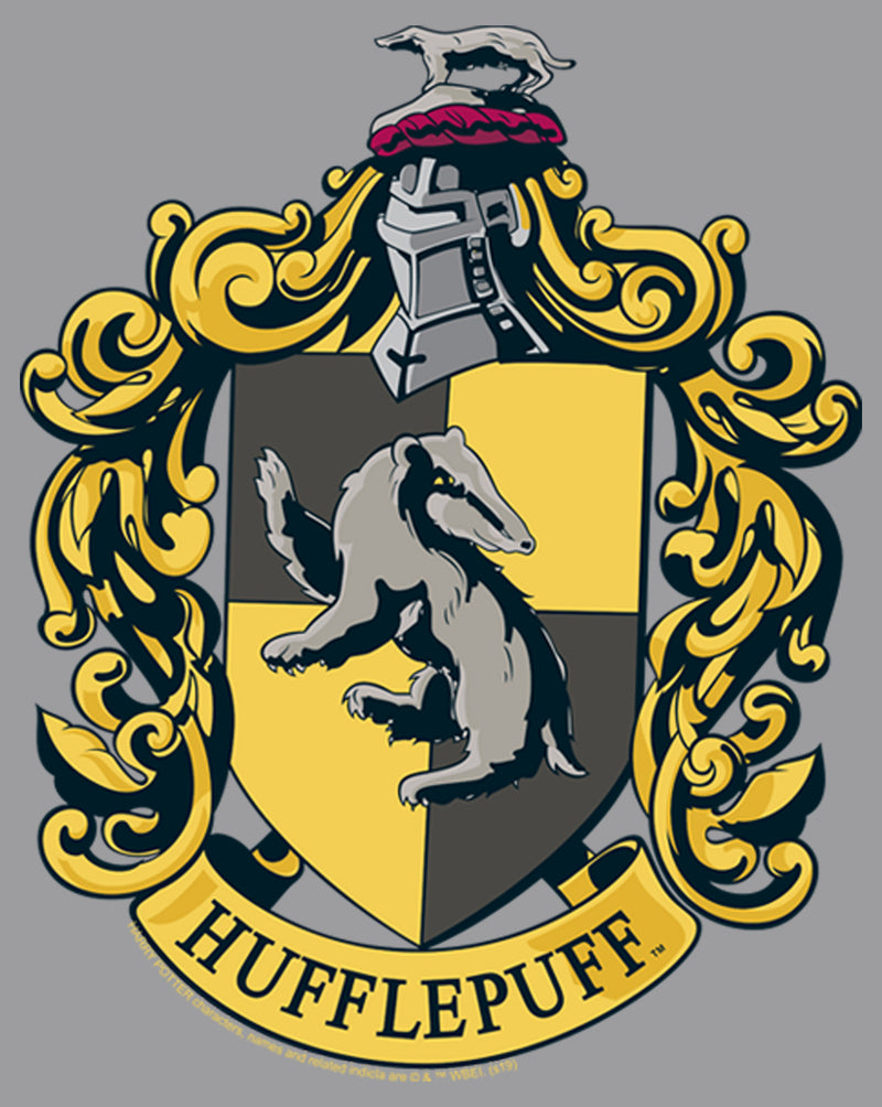 Boy's Harry Potter Hufflepuff Gold Crest Pull Over Hoodie