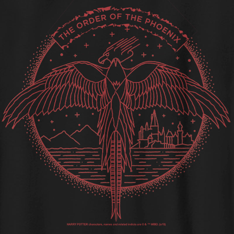 Boy's Harry Potter Order of Phoenix Flight T-Shirt