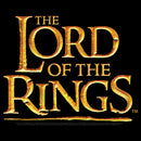 Boy's The Lord of the Rings Fellowship of the Ring Movie Logo Pull Over Hoodie