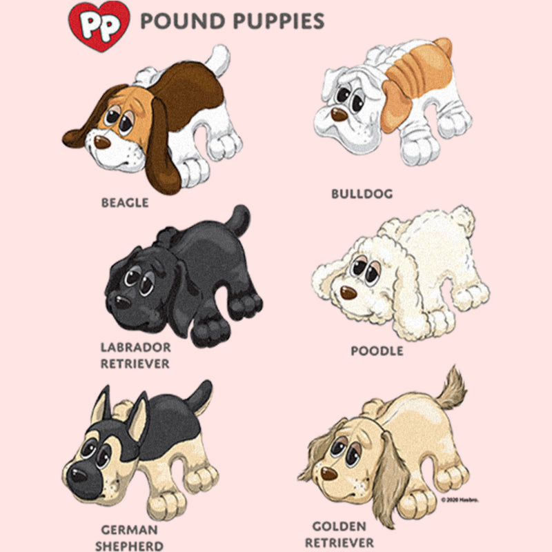 Toddler's Pound Puppies Dog Chart T-Shirt