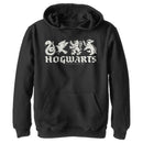Boy's Harry Potter House Mascots Pull Over Hoodie
