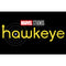 Boy's Marvel Hawkeye Logo Pull Over Hoodie