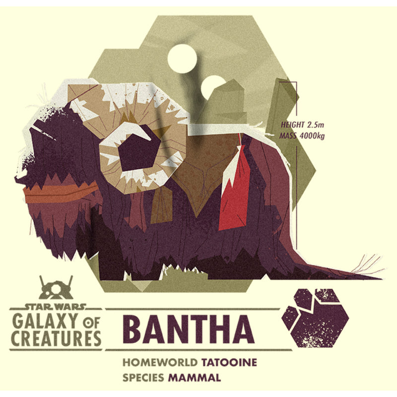 Men's Star Wars: Galaxy of Creatures The Bantha T-Shirt