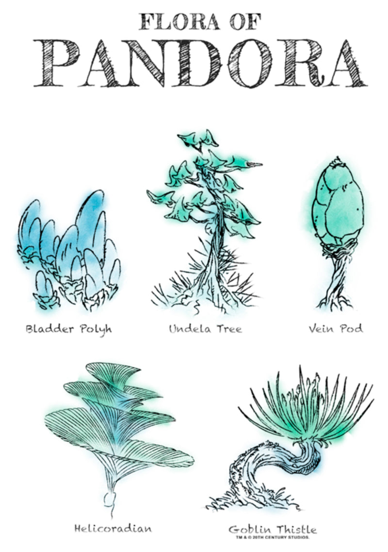 Women's Avatar Flora of Pandora Sketches T-Shirt