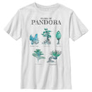 Boy's Avatar Flora of Pandora Sketches T-Shirt