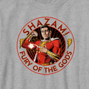 Boy's Shazam! Fury of the Gods Hero Circle T-Shirt