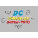 Boy's DC League of Super-Pets Logo Doodle Pull Over Hoodie