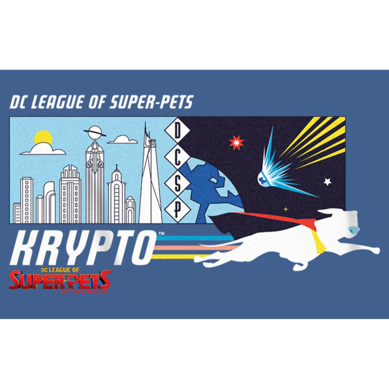Boy's DC League of Super-Pets Krypto Meteor Pull Over Hoodie