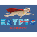 Boy's DC League of Super-Pets Krypto Super Dog Pull Over Hoodie