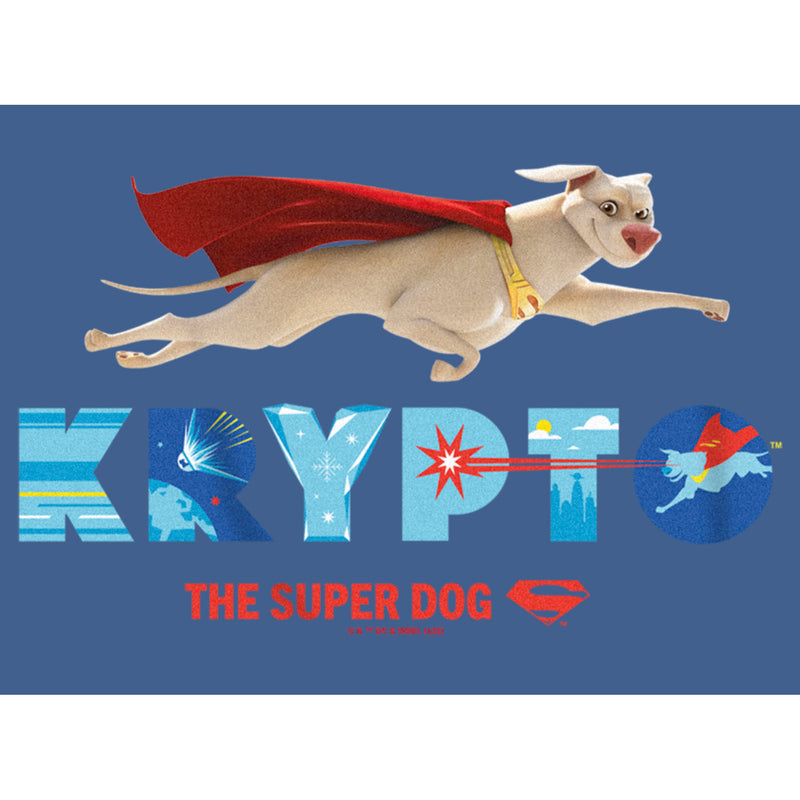 Boy's DC League of Super-Pets Krypto Super Dog Pull Over Hoodie