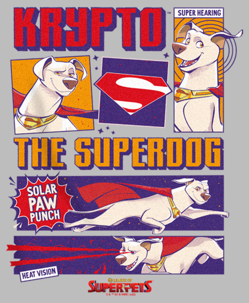 Boy's DC League of Super-Pets Krypto the Superdog Pull Over Hoodie