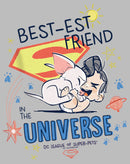 Boy's DC League of Super-Pets Cartoon Best-est Friend in the Universe Pull Over Hoodie