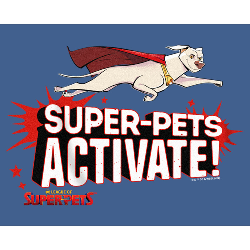 Boy's DC League of Super-Pets Krypto Super-Pets Activate Pull Over Hoodie