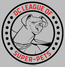 Boy's DC League of Super-Pets Krypto Circle Badge Pull Over Hoodie