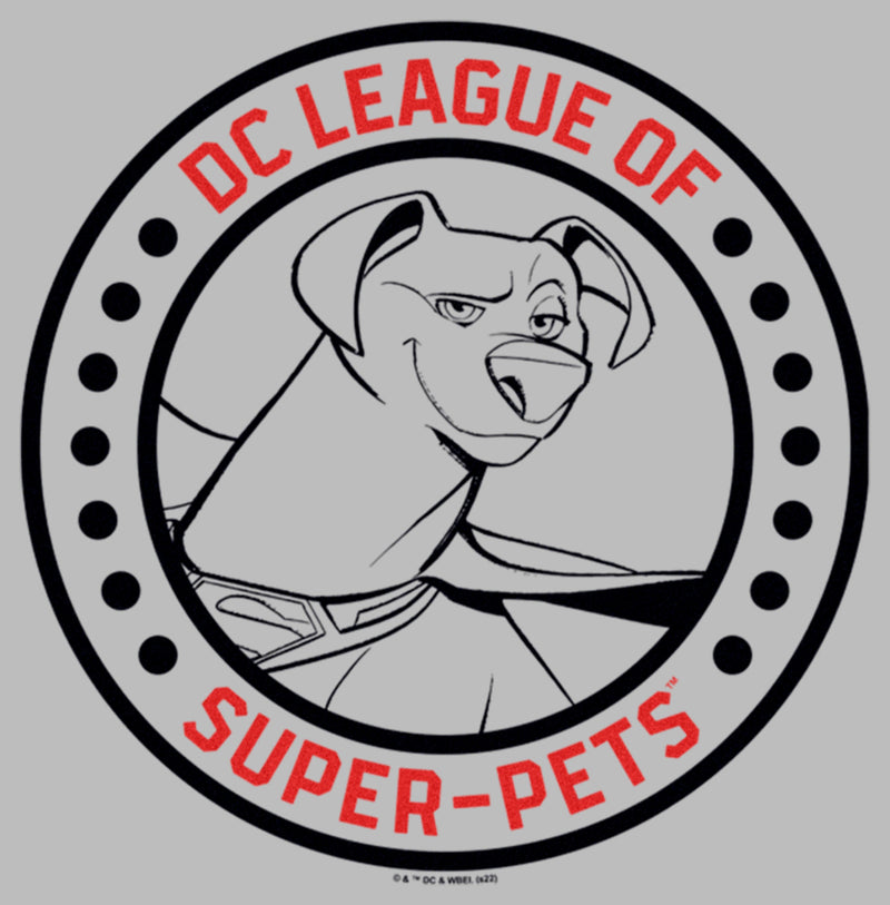 Boy's DC League of Super-Pets Krypto Circle Badge Pull Over Hoodie