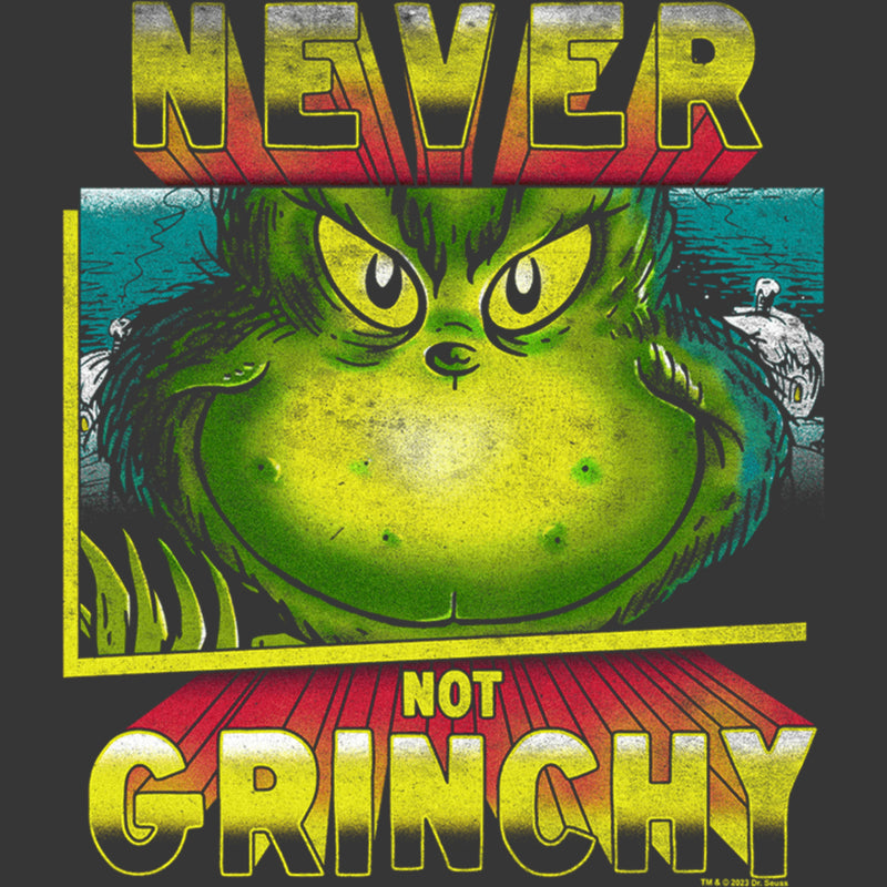 Boy's Dr. Seuss Distressed Never Not Grinchy T-Shirt