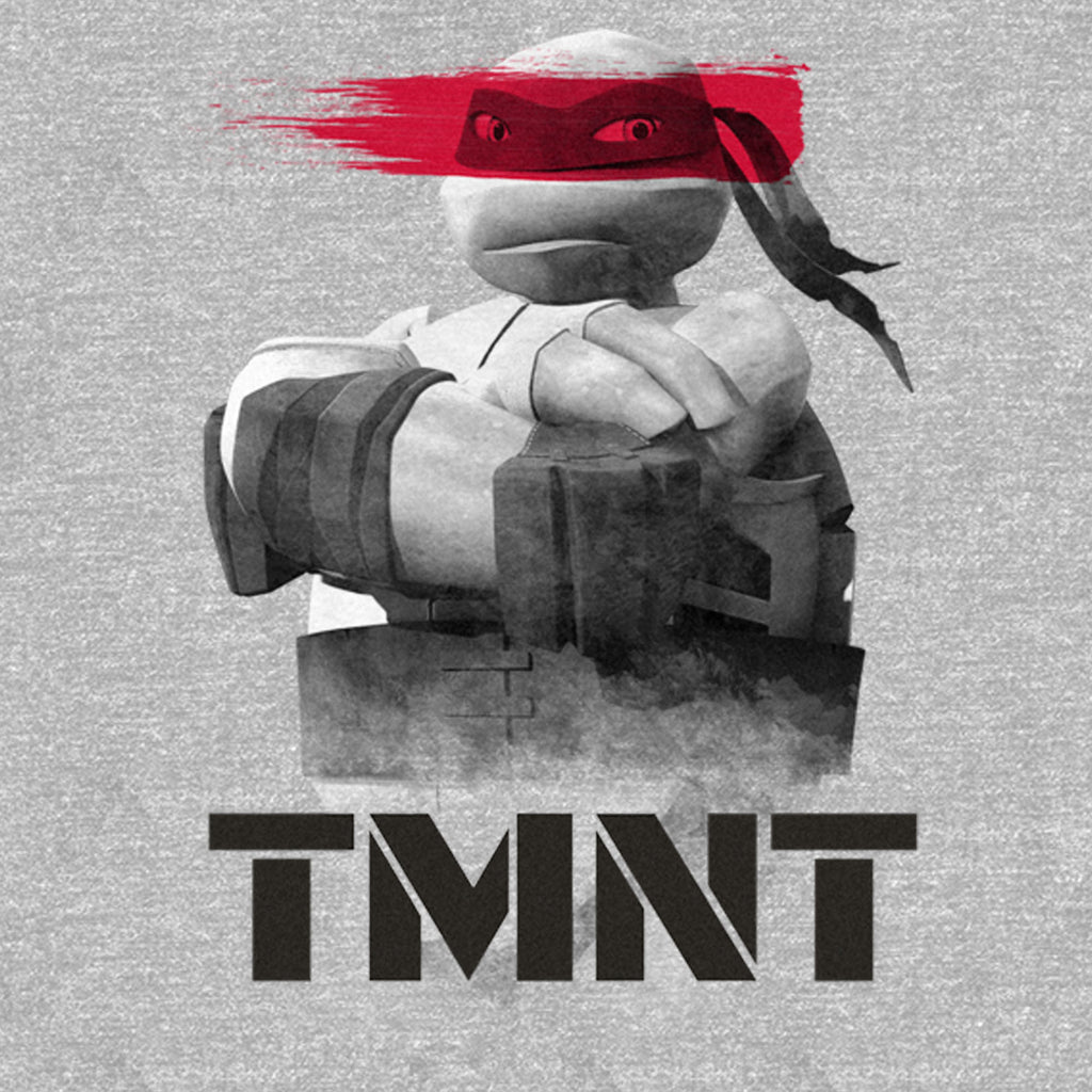 Men's Teenage Mutant Ninja Turtles Graphic Tee, Size: XL, Dark Grey