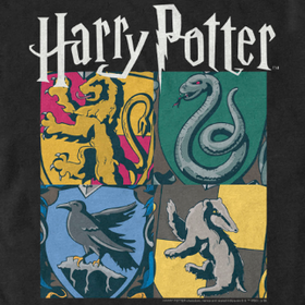 Harry Potter Clothing