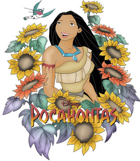 Pocahontas Clothing