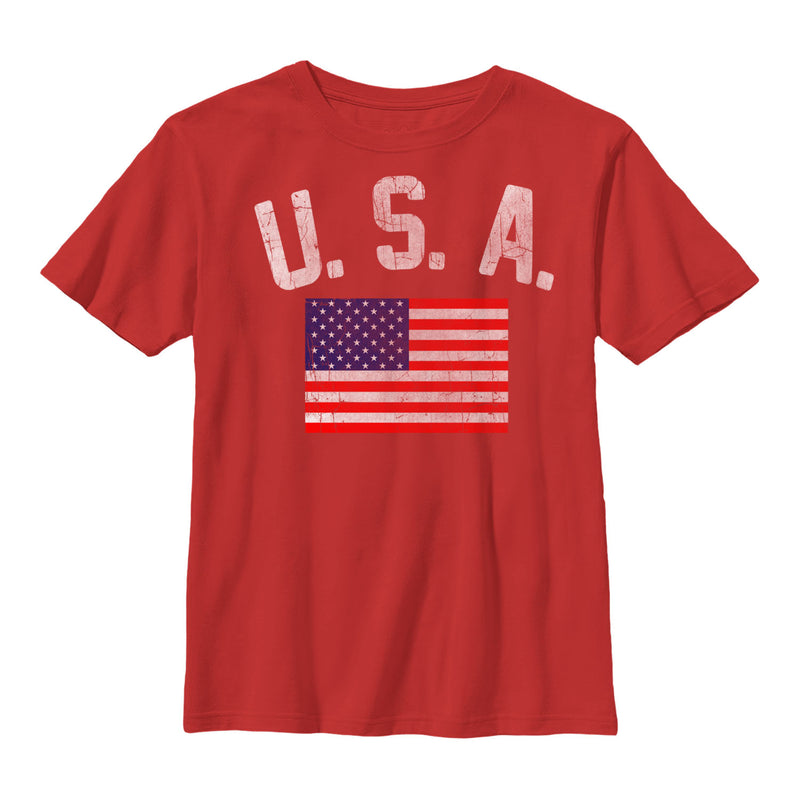 Boy's Lost Gods USA Classic Flag T-Shirt