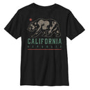 Boy's Lost Gods California Republic Bear Shadow T-Shirt