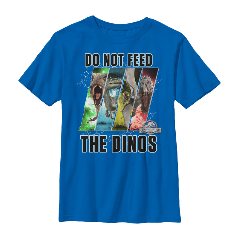 Boy's Jurassic World Do Not Feed Dino Panel T-Shirt