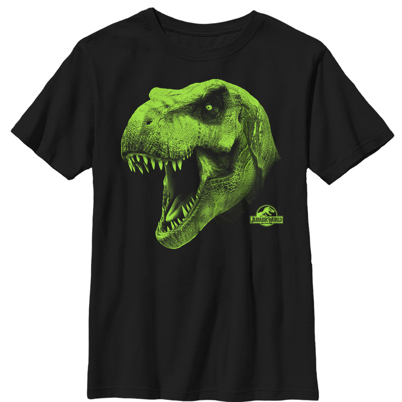 Boy's Jurassic World T. Rex Roar T-Shirt