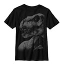 Boy's Jurassic World Tyrannosaurus Rex Teeth T-Shirt