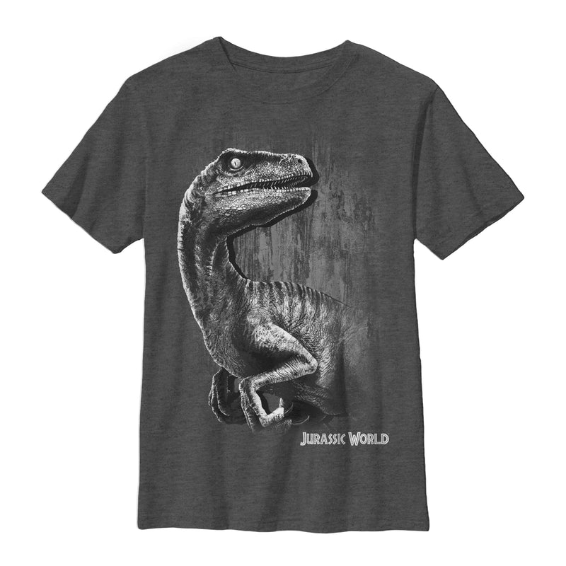 Boy's Jurassic World Sly Velociraptor T-Shirt