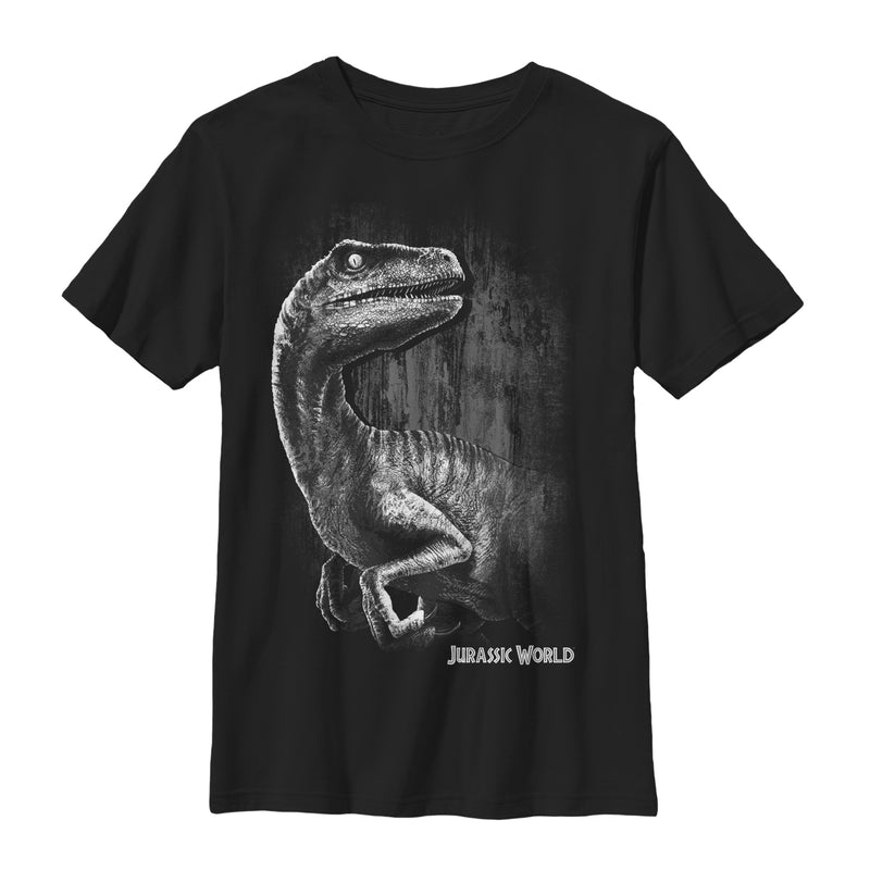 Boy's Jurassic World Sly Velociraptor T-Shirt