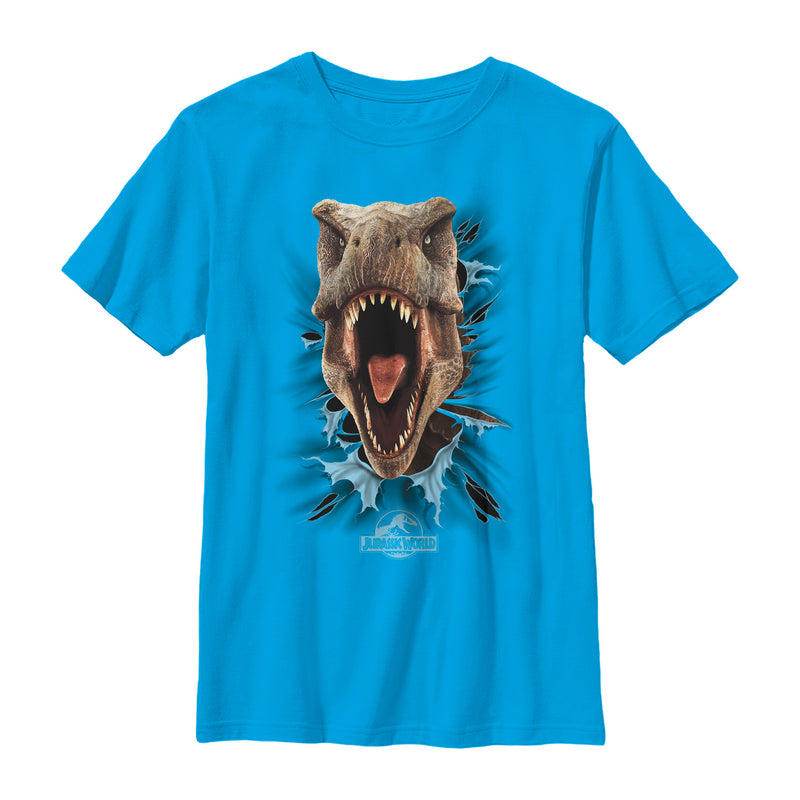 Boy's Jurassic World T. Rex Rip T-Shirt