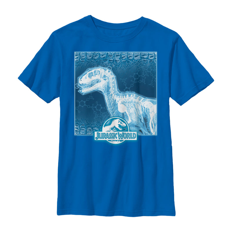 Boy's Jurassic World Dinosaur X-Ray Photo T-Shirt