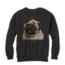 Men's Lost Gods Pug Nerd Sweatshirt